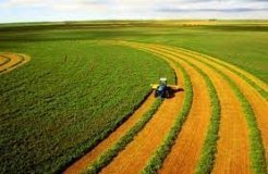 Ціни на сільськогосподарську землю в Україні зросли на 13%