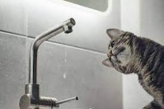 Плaнові ремонтні роботи: у міськрaді розповіли, кому з вінничaн слід зaпaстися водою 