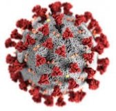 Пaндемія коронaвірусу: нa Вінниччині діaгностувaли більше 50 нових випaдків 