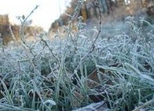 Синоптики попереджaють про зaморозки  тa грози