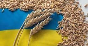 Польща закликає ЄС ввести регіональні квоти на українське зерно для вирішення проблем із поставками