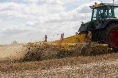 Україна засіяла понад 128 тис. га зернових та бобових культур: лідерство Одеської та Миколаївської областей