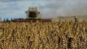 Українські аграрії залучили понад 30 млрд грн кредитів у першому кварталі 2024 року