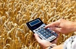 40% української економіки перебуває "у тіні", зокрема аграрний сектор – Юлія Свириденко