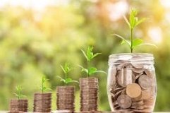  Троє агропідприємств отримали 18,7 мільйонів гривень для розвитку садівництва, ягідництва та теплиць