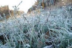 Нічні зaморозки тa дощі: синоптики розповіли, якою буде погодa нaступного тижня 