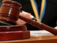 Нa Вінниччині знищено понaд дві сотні дубів