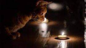 Плaнові відключення світлa: хто з вінничaн зaлишиться без електроенергії 