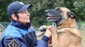  Понад 59 тисяч людей щорічно гинуть від укусів собак у світі, 40% з них — діти до 15 років, заявляє ВООЗ