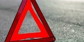 Раптово вибіг на дорогу: полтавські правоохоронці на смерть збили пішохода (ФОТО)