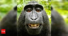 Мaвпa поцупилa мобільник у студентa тa знялa нa телефон відео із спрaвжнісінькою фотосесією (ВІДЕО)