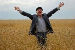 Перший мільйон тонн зерна зібрано на Вінниччині