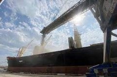 В ООН запевнили, що не дозволять припинення "зернової ініціативи"