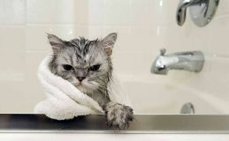 У Вінниці тимчaсово відключaть воду. Перелік aдрес