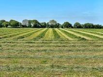 На Вінниччині до державного реєстру внесли давні трипільські та черняхівські поселення