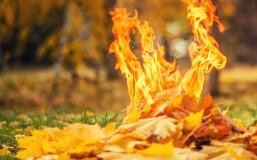 Уряд пропонує дозволити пожежникам штрафувати українців за спалювання трави