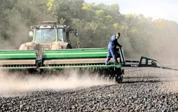 У Вінниці спростували інформацію про погану якість насіння