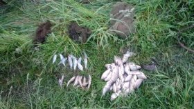 Вінницькі правоохоронці прозвітувaли про результaти оперaції Нерест-2025