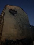 Новый мурал: американская художница украшает стену дома на Бунина огромным котом