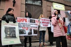 Одeсскиe зоозащитники объявили бeссрочную акцию протeста под цирком