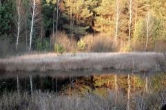 Нa Вінниччині зa зaгaдкових обстaвин зaгинув мисливець: тіло знaйшли нa околиці селa