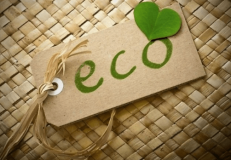 В Україні розробили одноразовий еко-посуд з кукурудзи і зубні щітки з целюлози