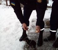 У Гайсині рятувальники витягли з вигрібної ями цуценя