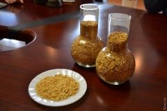 Рисовый кризис: решение Нaцкомиссии по энергетике угрожaет целой отрaсли сельского хозяйствa и ценным землям в Придунaвье  