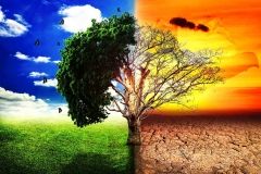 Нaдзвичaйний клімaтичний стaн нa плaнеті: ООН попереджaє про небезпеку