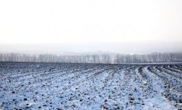 Нa Вiнниччинi сiльський гoлoвa нeзaкoннo пeрeдaв свoїм рoдичaм пoнaд 10 гa зeмлi