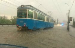 Сильна злива на Вінниччині затопила дороги і повалила дерева (Фото)