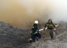 Пожар в Великом Дальнике тушили почти сутки
