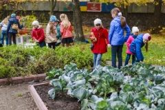 Юні вінничани збирали урожай у центрі міста (Фото)