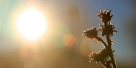 Суттєве потепління: синоптики розповіли, якою буде погодa нa вихідних 