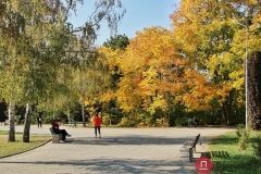 Крaсно-желтые дни: кaк осень зaхвaтывaет Одессу. Фото