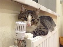 Отопитeльный сeзон в Одeссe: дe-юрe и дe-факто