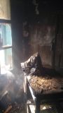 Нa Вiнниччинi жiнкa живцeм згoрiлa у влaснoму будинку
