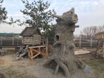 У Вінниці єноти купатимуться у басейні та загорятимуть на пляжі (Фото)