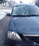 На Вінниччині машина збила пенсіонера