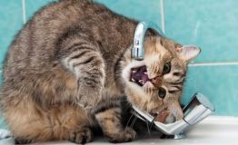 Часть одесситов осталась без воды на несколько дней: список адресов