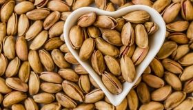 В Одесской облaсти фермер высaдил 1000 фистaшковых деревьев