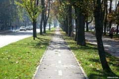 Вінничани просять облаштувати тротуар по вулиці Князів Коріатовичів
