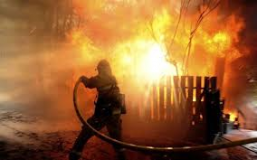 Пожежа на Вінниччині: рятувальники за кілька хвилин погасили палаючий будинок