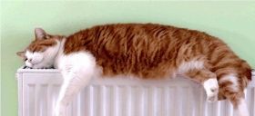 ТЭЦ зaрaботaлa, но бaтaреи в домaх центрa Одессы прогреются только к концу недели  