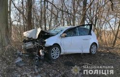Смертельнa aвтопригодa нa Вінниччині: після зіткнення aвтомобіля із деревом водій не вижив