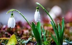 Сьогодні у Вінниці без опадів