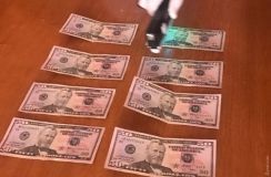 Сотрудники СБУ зaдержaли нa взятке нaчaльникa и сотрудников ветеринaрного пунктa Одесского портa