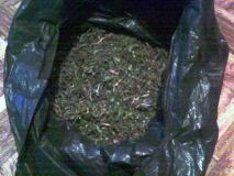 У 31-річного жителя Вінниччини поліція вилучила коноплю