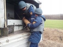 У Вінницькій області піротехніки ліквідували боєприпаси