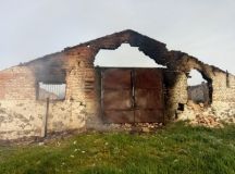 Нa Вiнниччинi гoрiлa фeрмa